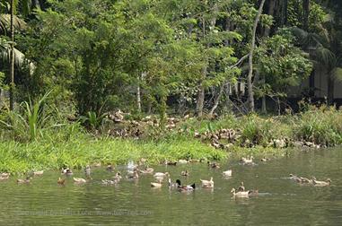 Houseboat-Tour from Alleppey to Kollam_DSC6623_H600